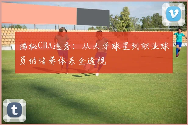 揭秘CBA选秀：从大学球星到职业球员的培养体系全透视
