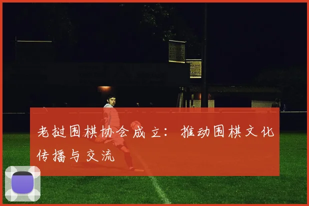老挝围棋协会成立：推动围棋文化传播与交流